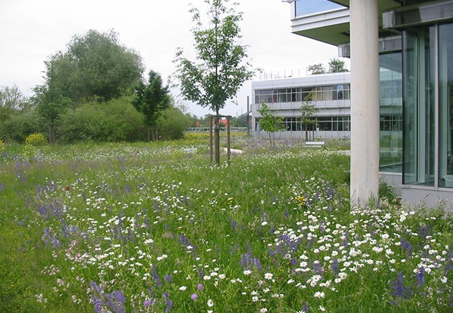 rrp_forchheim_freianl_portf_IV