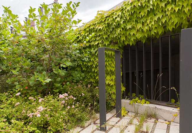 rrp_josefinum_fruehf_freianl_portf_II