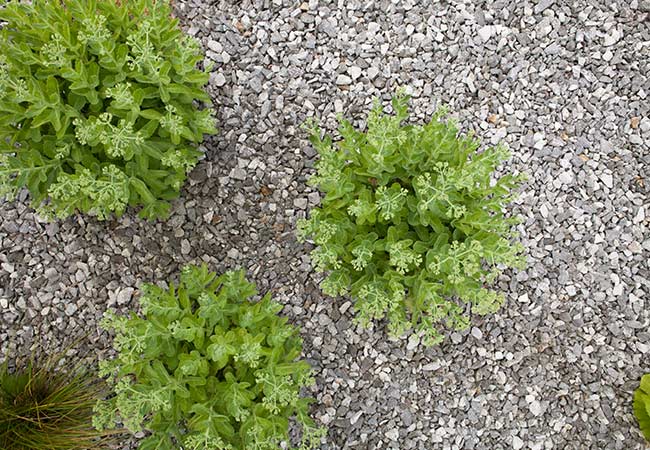 rrp_josefinum_schule_portf_II