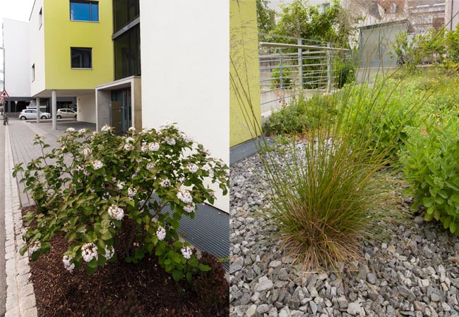 rrp_josefinum_schule_portf_VII