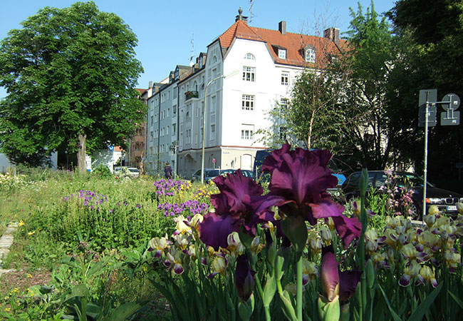 rrp_muenchen-west_freianl_portf_II